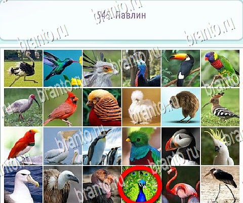 Помощь на игру ВК Горячо-Холодно-2 Уровень 545