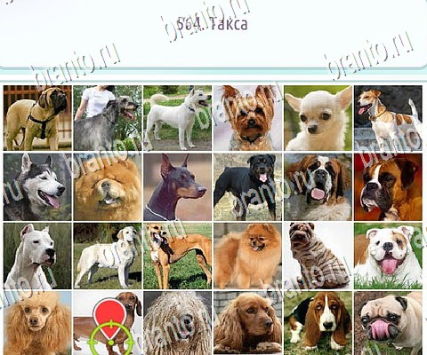 Горячо-Холодно-2 игра ответы Уровень 564