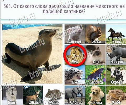 Горячо-Холодно-2 игра подсказки Уровень 565