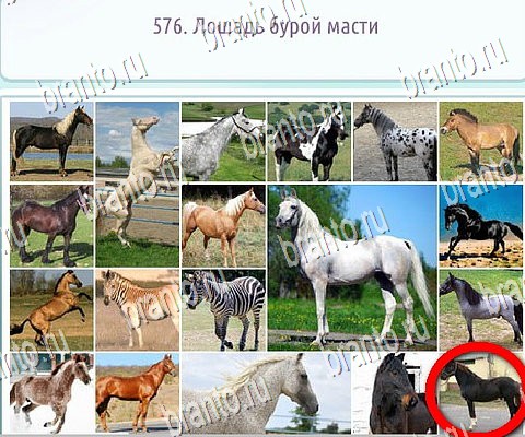 ответы к игре Горячо-Холодно-2 Уровень 576