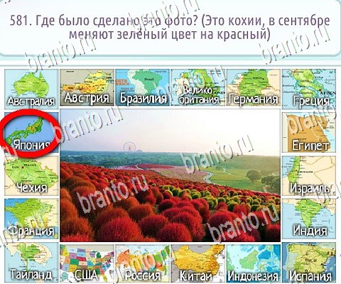 игра Горячо-Холодно-2 ответ на Уровень 581