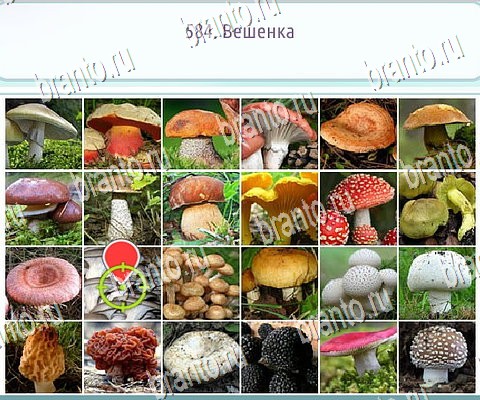 Горячо-Холодно-2 игра ответы Уровень 584