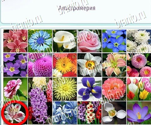 игра Горячо-Холодно-2 ответы в одноклассниках на Уровень 591