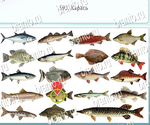 Горячо-Холодно-2 решения Уровень 593