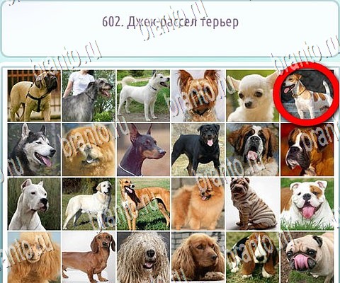 ответы на игру Горячо-Холодно-2 в одноклассниках Уровень 602