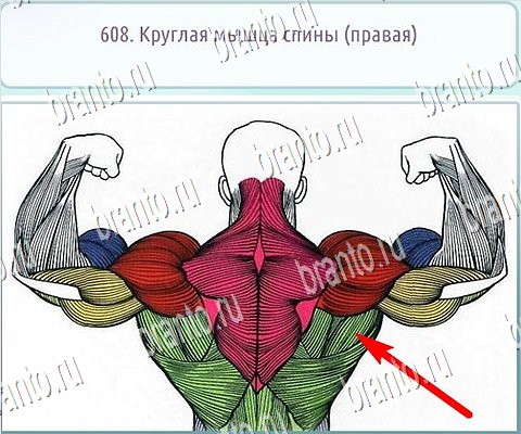 Горячо-Холодно-2 игра ответы в одноклассниках Уровень 608