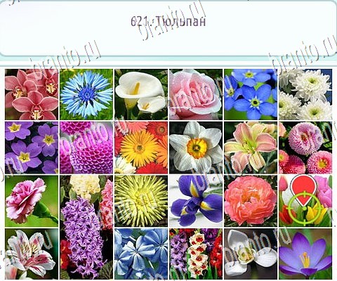 игра Горячо-Холодно-2 ответы в одноклассниках на Уровень 621