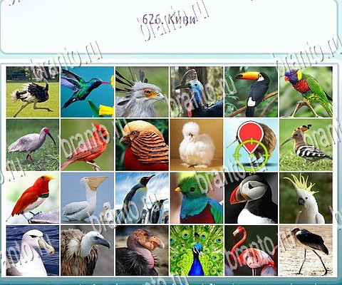 Горячо-Холодно-2 игра помощь в контакте Уровень 626