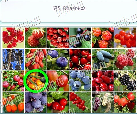 Помощь на игру ВК Горячо-Холодно-2 Уровень 635