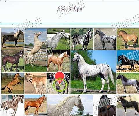 Горячо-Холодно-2 игра ответы в одноклассниках Уровень 638