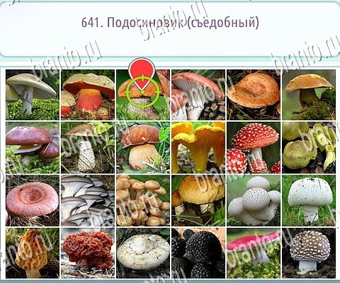 игра Горячо-Холодно-2 ответ на Уровень 641