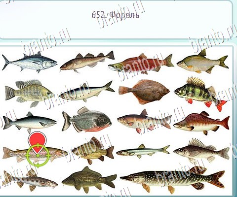 решебник на игру Горячо-Холодно-2 Уровень 652