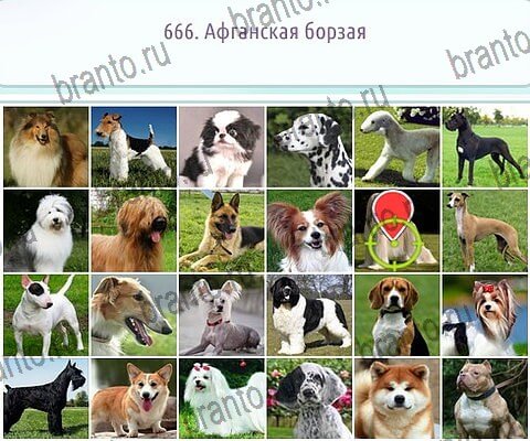 ответы к игре Горячо-Холодно-2 Уровень 666