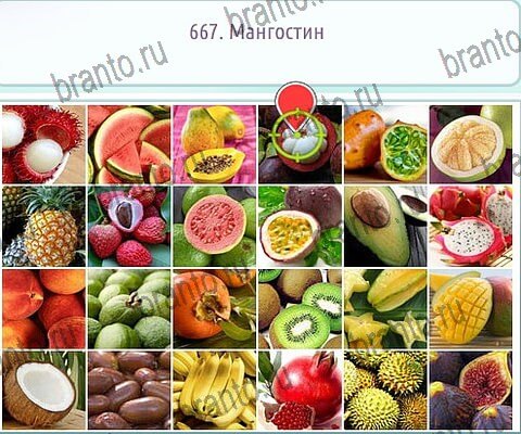 ответы на игру в одноклассниках Горячо-Холодно-2 Уровень 667