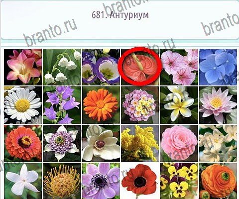 игра Горячо-Холодно-2 ответы в одноклассниках на Уровень 681