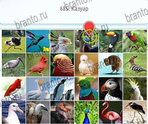 Горячо-Холодно-2 игра подсказки Уровень 685