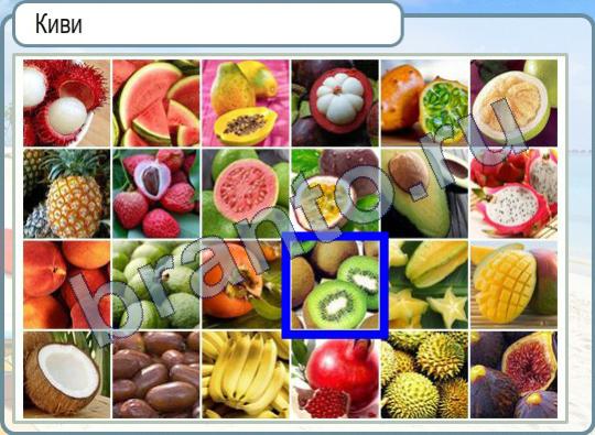 Горячо-Холодно ответы Уровень 338 где киви