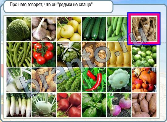 решебник на игру Горячо-Холодно Уровень 351 говорят что он редьки не слаще