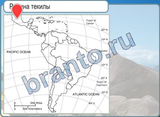 Решения на игру Горячо-Холодно Уровень 273 родина текилы