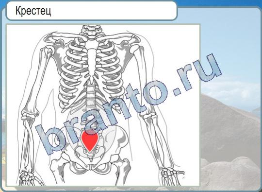 Горячо-Холодно подсказки Уровень 279 крестец