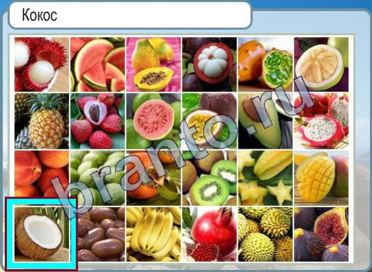 Горячо-Холодно решения Уровень 282 кокос