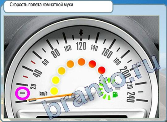 Игра Горячо-Холодно ответы Уровень 287 скорость полёта комнатной мухи