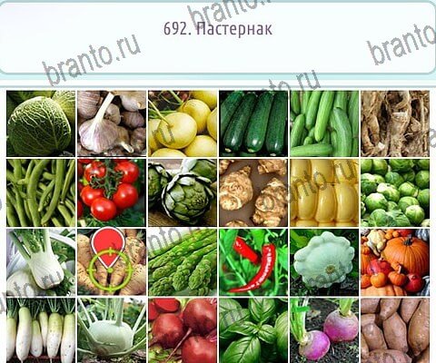 ответы на игру Горячо-Холодно-2 в одноклассниках Уровень 692