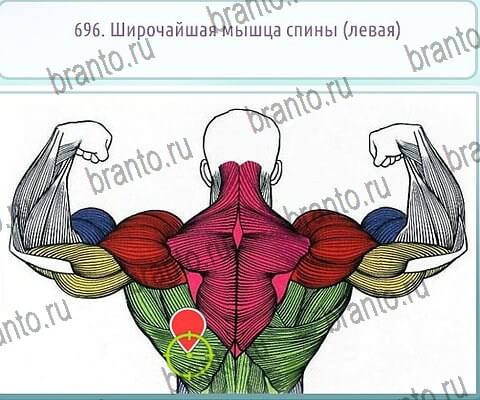 ответы к игре Горячо-Холодно-2 Уровень 696