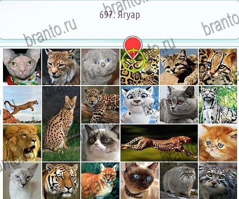 ответы на игру в одноклассниках Горячо-Холодно-2 Уровень 697