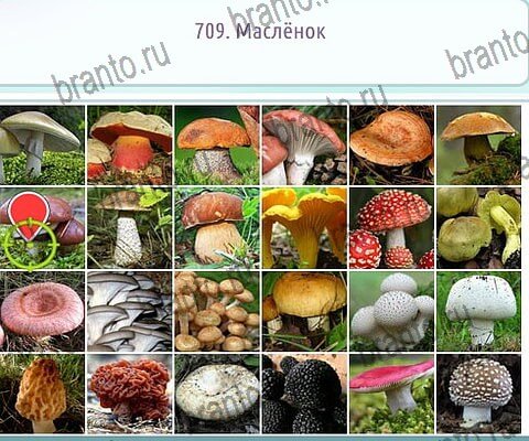 Игра Горячо-Холодно-2 подсказки вк Уровень 709