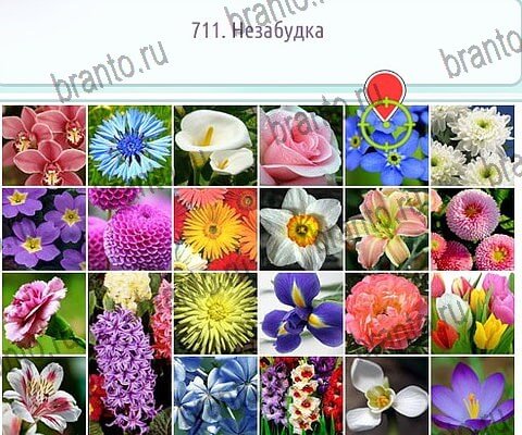 игра Горячо-Холодно-2 ответы в одноклассниках на Уровень 711