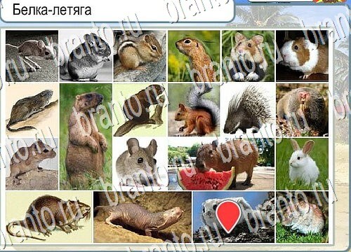 Помощь на игру Горячо-Холодно Уровень 3844 Кузя