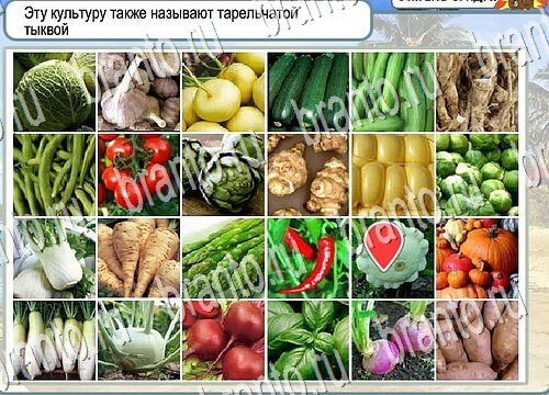 решебник на игру Горячо-Холодно Уровень 3851 Сербия