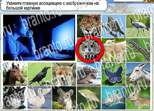 Горячо-Холодно решения Уровень 3852 Пищевод