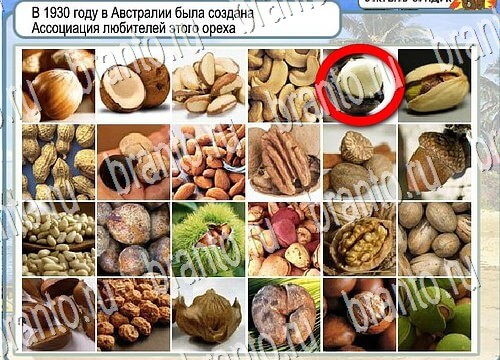 Горячо-Холодно игра подсказки Уровень 3854