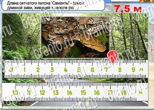Игра Горячо-Холодно подсказки Уровень 3858 рыба лещ