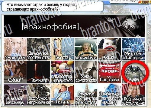 Игра Горячо-Холодно ответы Уровень 3867