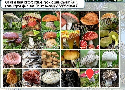 Решения на игру Горячо-Холодно Уровень 3873 автор Мёртвые души фото