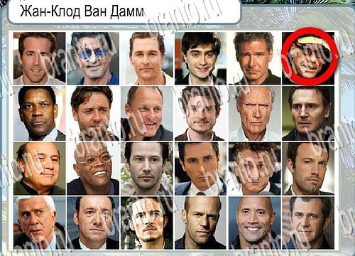 Горячо-Холодно игра ответы в одноклассниках Уровень 3877 Многоцветный лорикет