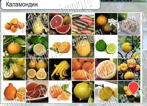 Горячо-Холодно игра подсказки Уровень 3884