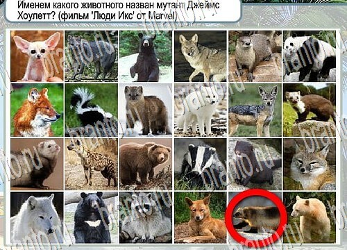 Горячо-Холодно игра подсказки Уровень 3894 знак родившегося 8 марта