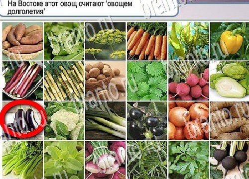 Подсказки Горячо-Холодно Уровень 3902