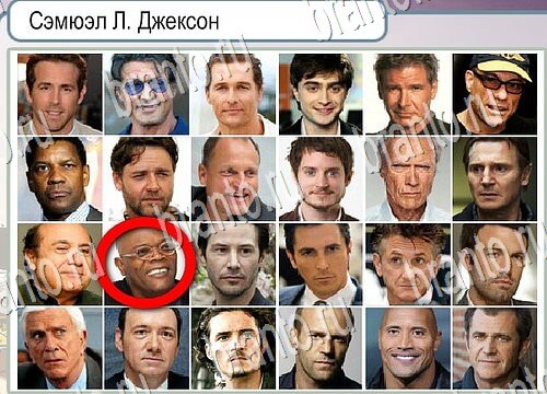 Горячо-Холодно игра ответы в одноклассниках Уровень 3907 Многоцветный лорикет