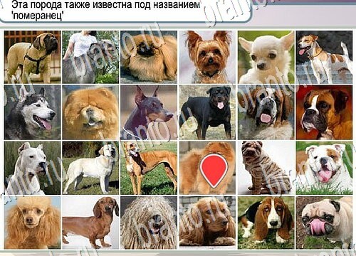 Горячо-Холодно игра помощь Уровень 3925 укажите марку авто