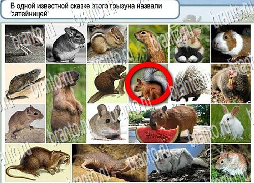 Помощь на игру Горячо-Холодно Уровень 3934 Кузя