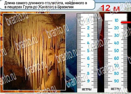 Игра Горячо-Холодно ответы Уровень 3947 бабочка Адмирал