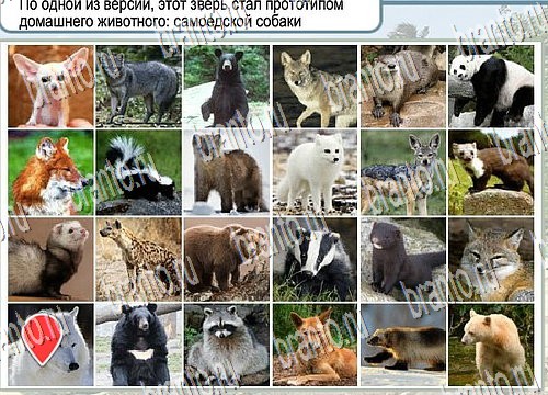 Горячо-Холодно игра подсказки Уровень 3954 знак родившегося 8 марта