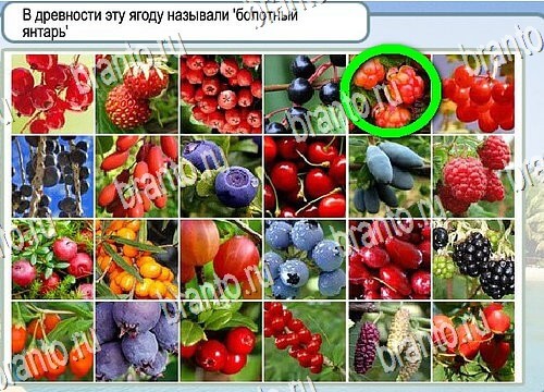 Подсказки Горячо-Холодно Уровень 3962