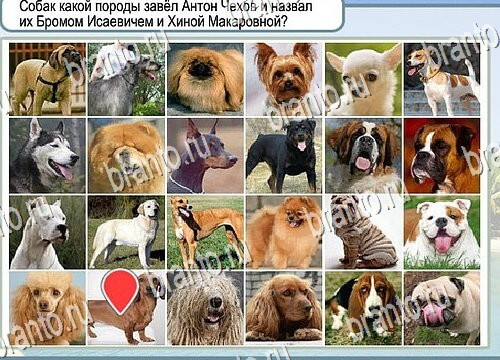 Горячо-Холодно игра подсказки Уровень 3984 знак родившегося 8 марта