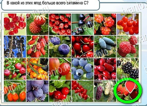 Решения на игру Горячо-Холодно Уровень 3993 автор Мёртвые души фото